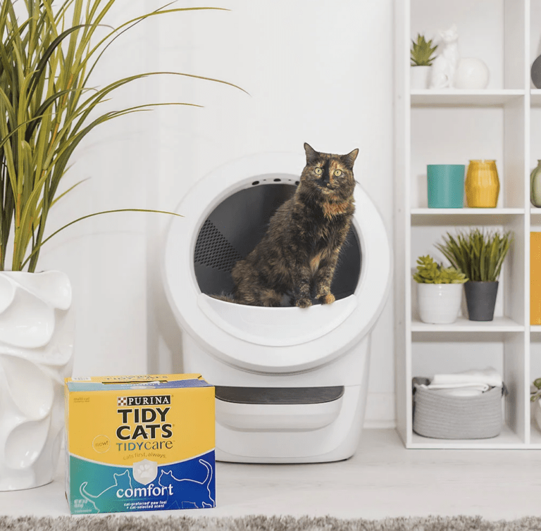 Upgrade Your Cat’s Life with the Whisker x Tidy Cats Giveaway!
