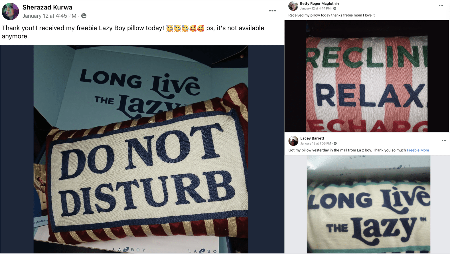 Free La-Z-Boy Pillow