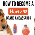Your Guide to Becoming a Hartz Brand Ambassador: Application Steps Explained
