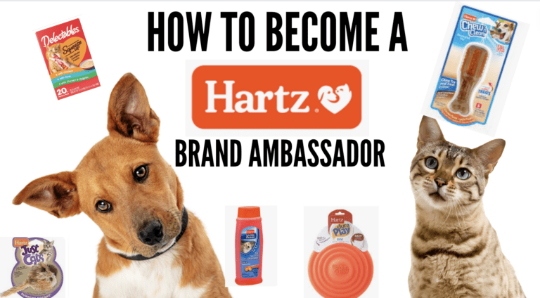 Your Guide to Becoming a Hartz Brand Ambassador: Application Steps Explained