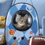 Felix Cat Insurance’s “Football and Felines” Giveaway: A Purr-fect Match for Football Fans and Cat Lovers