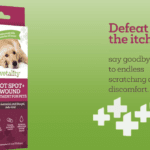 Don’t Let Your Dog Suffer: Get Your FREE Hot Spot & Wound Ointment Today!