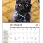 Order Your FREE 2024 Pet Calendar