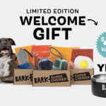 Everything You Need to Know About the Super Chewer Box with Free Yeti