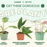 Shark Tank Flora Giveaway – $1500 Worth of Green Treasure!