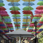 The Ultimate Umbrella Guide: Choosing the Right One for You
