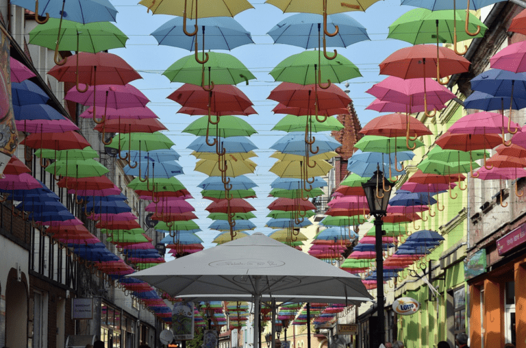 The Ultimate Umbrella Guide: Choosing the Right One for You
