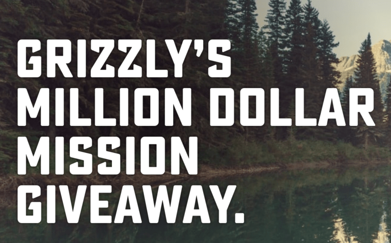 Grizzly Million Dollar Mission Summer Instant Win Game