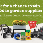 Discover the Ultimate Garden Giveaway – Transform Your Outdoor Space!