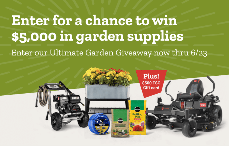 Discover the Ultimate Garden Giveaway – Transform Your Outdoor Space!