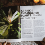 Get Your Free Mountain Rose Herbs Journal!