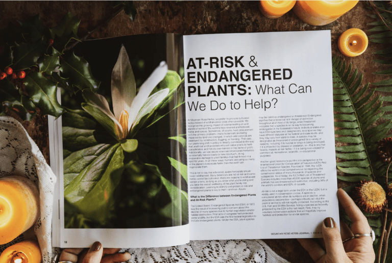 Get Your Free Mountain Rose Herbs Journal!