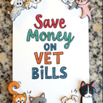 The Best Ways to Keep Your Pet Healthy & Save Money on Vet Bills