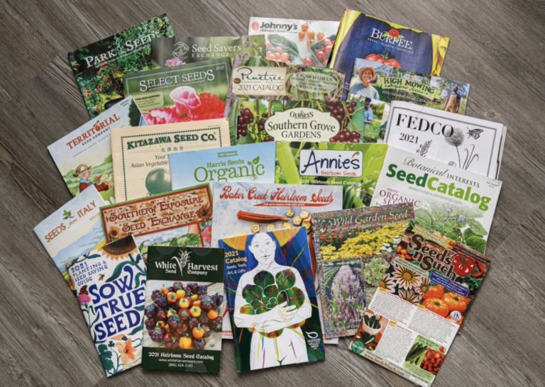 How to Request Free Seed Catalogs for Your Next Gardening Project
