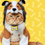 Get Free Temptations Cat Treats Right Meow