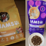 Snag a FREE Sample of IAMS™ Puppy or Kitten Food – Here’s How!