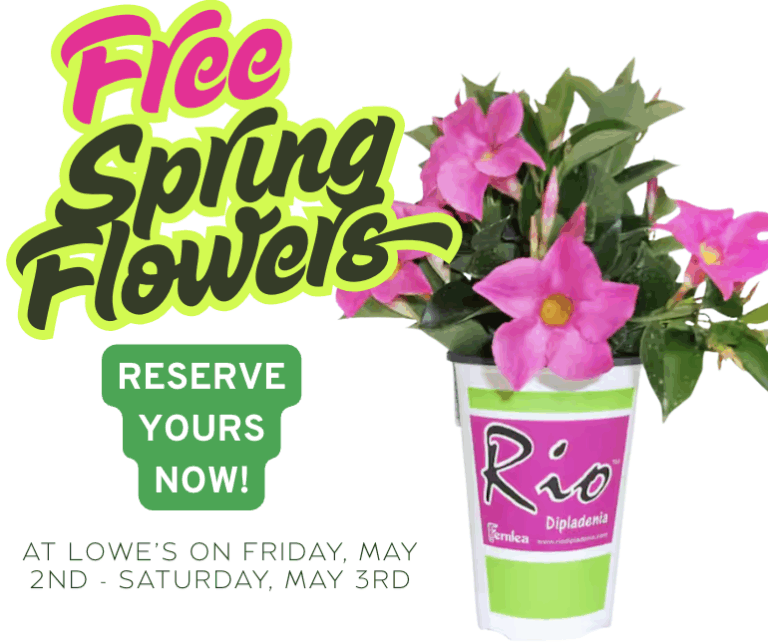 Free Spring Flowers at Lowe’s for Members!
