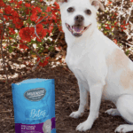 FREE Dog Treats Just for Answering a 5-Minute Survey (Worth $20!)