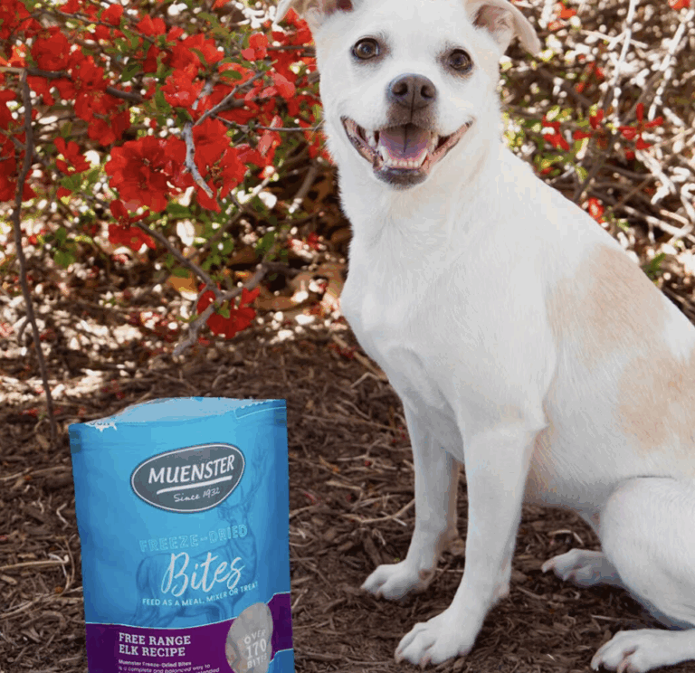 FREE Dog Treats Just for Answering a 5-Minute Survey (Worth $20!)