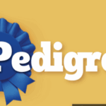 Free PEDIGREE Pouch Wet Dog Food Sample – Treat Your Pup Today!