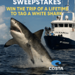 Win a Shark-Tagging Trip in the 2025 OCEARCH Meet a Shark Sweepstakes