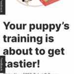 Score a FREE Puppy Training Treats Box from ZigZag — No Trial Needed!