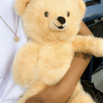 Snuggle Comfort Companion Giveaway 2025: Win Plushies + Full-Size Laundry Favorites!