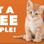 Free IAMS Cat Food Sample Offer Is Live — But Only If You’re On Mobile!
