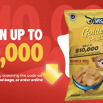 Wise Golden Prize Sweepstakes: Win $10,000 or Daily Visa Gift Cards