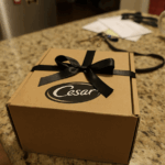 Cesar Travelers’ Choice Pet-Friendly Sweepstakes: Win a Luxe Trip for You and Your Dog