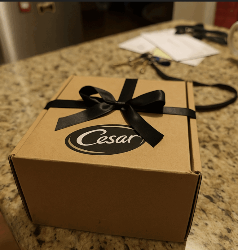 Cesar Travelers’ Choice Pet-Friendly Sweepstakes: Win a Luxe Trip for You and Your Dog