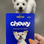 Win a $450 Chewy Gift Card in the Animal Intelligence Sweepstakes