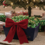 5 Luxurious Holiday Gift Ideas That Feel Straight Out of Dubai (and One You Can Win!)