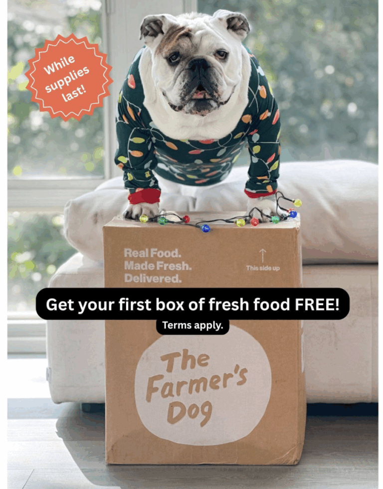 How to Get a 100% Free Box of The Farmer’s Dog (Worth $300)