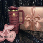 Valentine’s Day Stanley Giveaway