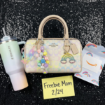 Coach Bag + Stanley + Amazon Card Giveaway