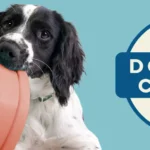 Win a $1,000 Dog Tax Credit — Enter the General Mills Giveaway!