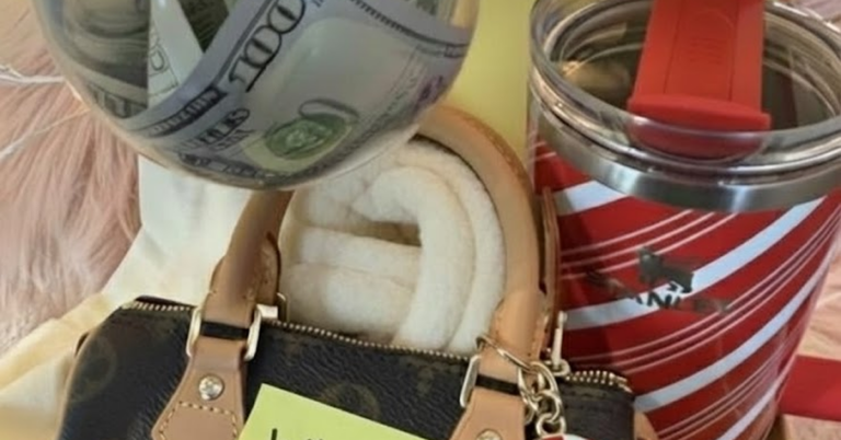 LV Purse, Cash + Christmas Stanley