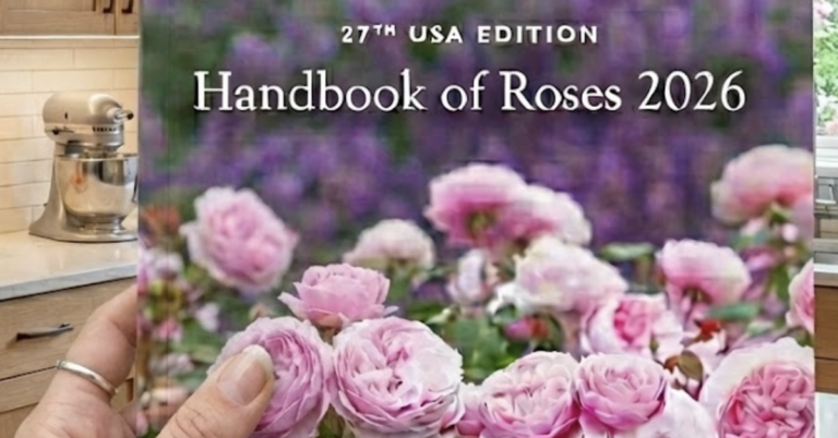 Request the 2026 Handbook of Roses