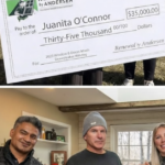 The $35,000 Question: How a Window Makeover Can Transform Your Home’s Value and Your Life