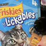 FREE Friskies Sample Inside the MyPurina App