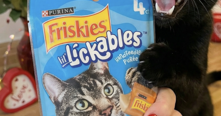 FREE Friskies Sample Inside the MyPurina App