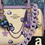 Coach Bag + Stanley + Amazon Card Giveaway