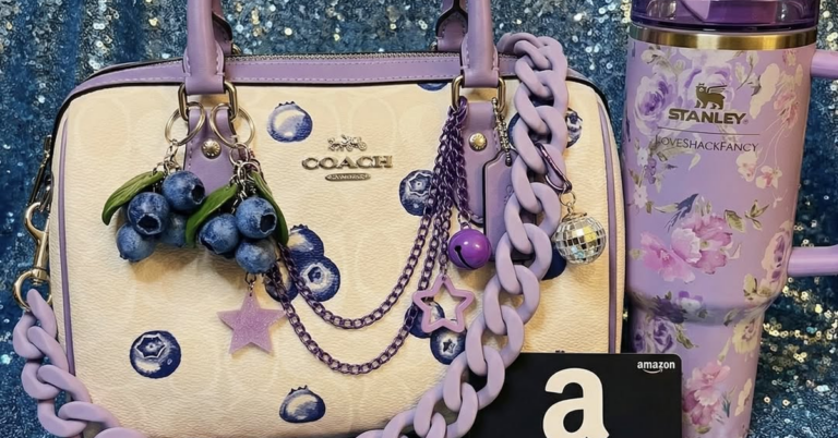 Coach Bag + Stanley + Amazon Card Giveaway