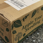 Free Tree from Envelope