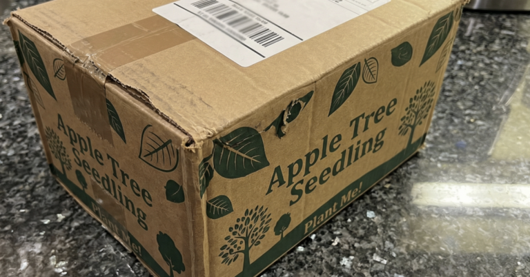 Free Tree from Envelope