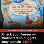 Check Your Freezer Now: USDA Says Great Value Dino Nuggets Sold at Walmart May Contain Lead Up to 5× the FDA Safety Limit