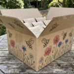 Give an Hour to Earth & Get Your FREE Seed Packet!