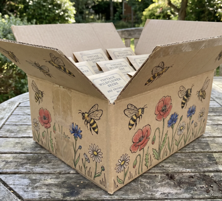 Give an Hour to Earth & Get Your FREE Seed Packet!