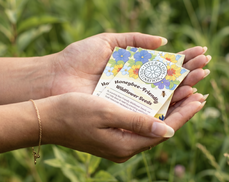 Make a Difference Today and Request a FREE Seed Packet